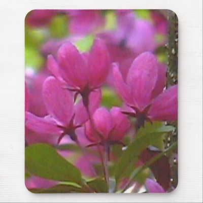 Big Stars ~ customizable Mousepad by cimmonz