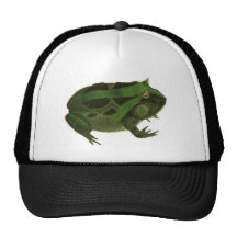 Big Storybook Frog Trucker Hats