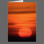 Big Sun Greeting Card cards