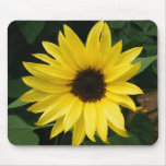 Big Sunflower Mouse Mats