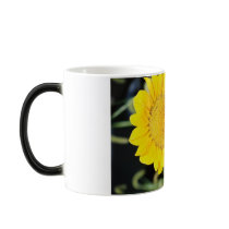 "BIG SUNFLOWER" mugs by crrfan "BIG SUNFLOWER" mugs