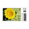 'BIG SUNFLOWER postage