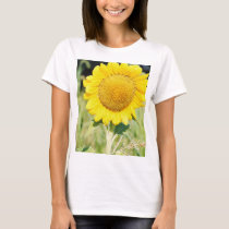 'BIG SUNFLOWER t-shirts