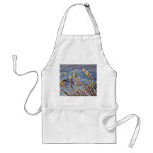 Big Sur Aprons