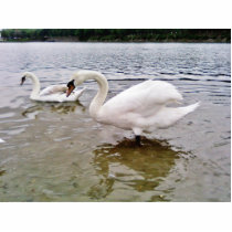 Big Swan photo sculptures