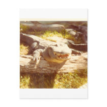 BIG_TEETH postcards by mydoggieworld BIG_TEETH postcards