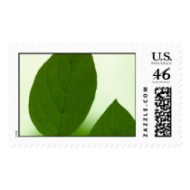 big tip postage