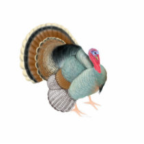 Big Tom Turkey Holiday Ornament photo sculptures