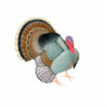 Big Tom Turkey Holiday Ornament Cut Out