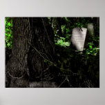 Big Tree and Little Stone Print