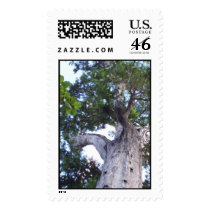 Big Tree postage by lightningbox Big Tree postage