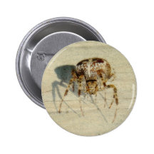 Big, Very, Scary, Hairy Spider Pinback Button