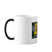 Big Wave, Fish, surfs up mugs by danredking Big Wave, Fish, surfs up mugs