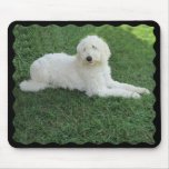 BIG WHITE DOG -MOUSEPAD