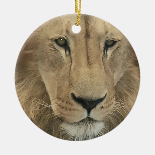 Big Wild Cat Ceramic Ornament Zazzle
