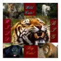 Big Wild Cats!!! posters by darkbunnys Big Wild Cats!!! posters