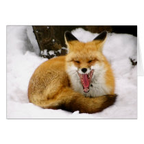 "Big Yawn" Card