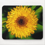 Big Yellow Flower Mouse Pad mousepads