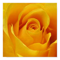 Big Yellow Rose posters