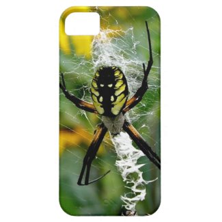 Big Yellow Spider iPhone 5 Case