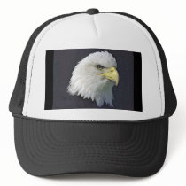 bigbird mesh hats
