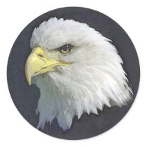 bigbird stickers by REDINARD bigbird stickers