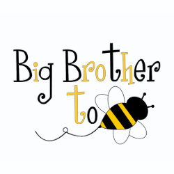 BigBrotherToBee shirt