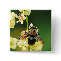 BigBuzz button by ohgreeting BigBuzz button
