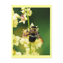 BigBuzz Postcard by ohgreeting BigBuzz Postcard