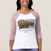 Ladies 3/4 Sleeve Raglan (Fitted)