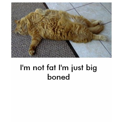 bigfat, I'm not fat I'm just big boned Shirt by FranMarie