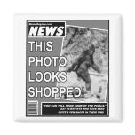 Bigfoot Bamboozlement Fridge Magnets