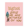 Bigfoot Has Pictures Postcard