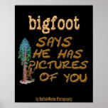 Bigfoot Has Pictures Posters