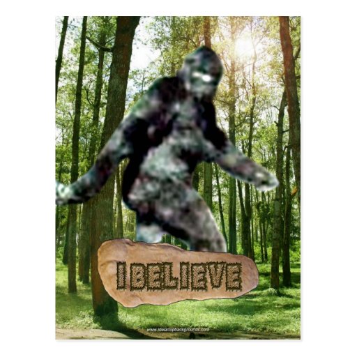 Bigfoot I Believe Postcard | Zazzle