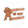 Bigfoot Is My Homeboy Stickers