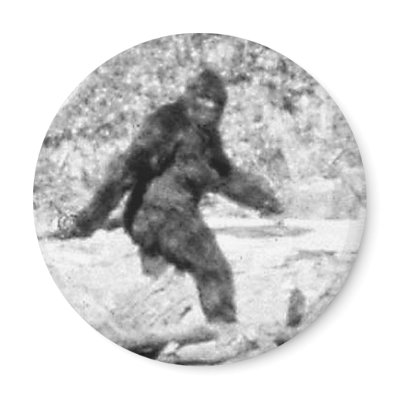 Bigfoot Fridge Magnet by welcometofranksstore