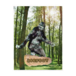 Bigfoot Postcards
