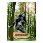 Bigfoot Postcards