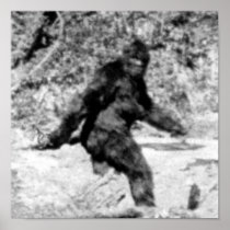 Bigfoot Poster