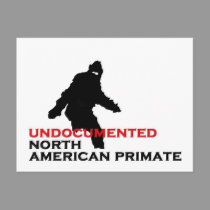 BIGFOOT: UNDOCUMENTED NORTH AMERICAN PRIMATE postcards