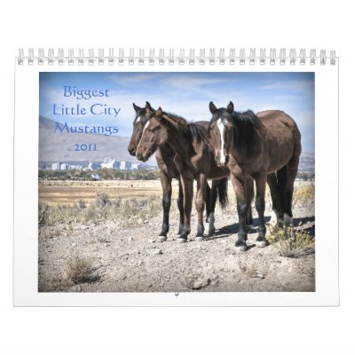 Biggest Little City Mustangs 2011 Wall Calendars by rachham