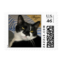 Biggie - Adopted Shelter Cat Postage Stamp