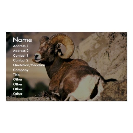 Bighorn Ram Business Cards (front side)