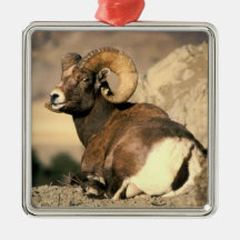 Bighorn Ram Christmas Tree Ornament