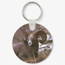 Bighorn Ram Keychain by gbcimages3 Bighorn Ram Keychain
