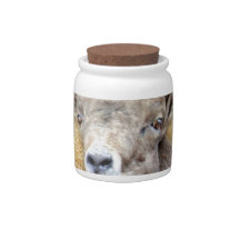 Bighorn Sheep Candy Jars
