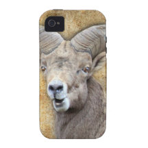 Bighorn Sheep Case-Mate iPhone 4 Case