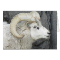 Bighorn Sheep Father's Day Card cards
