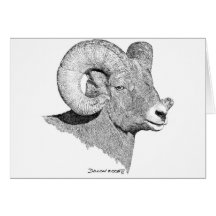 Bighorn Sheep Greeting Cards